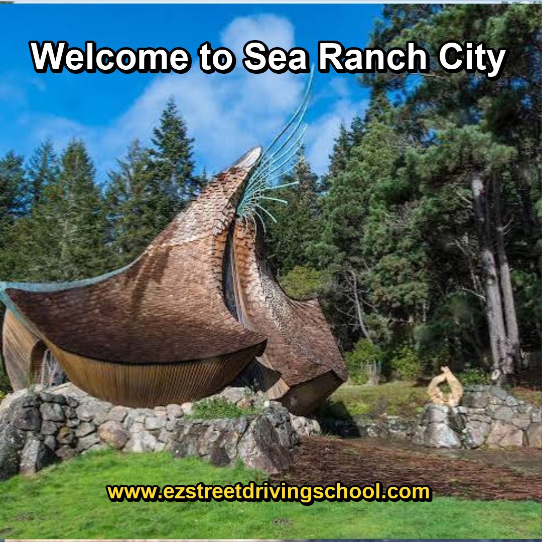 Driving Lessons in Sea Ranch